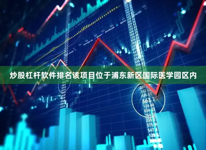 炒股杠杆软件排名该项目位于浦东新区国际医学园区内