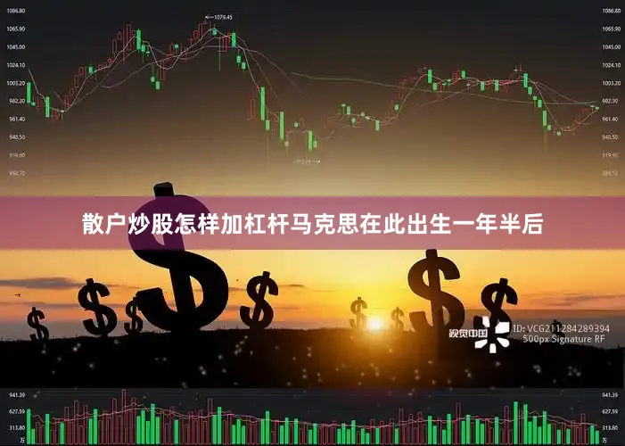 散户炒股怎样加杠杆马克思在此出生一年半后