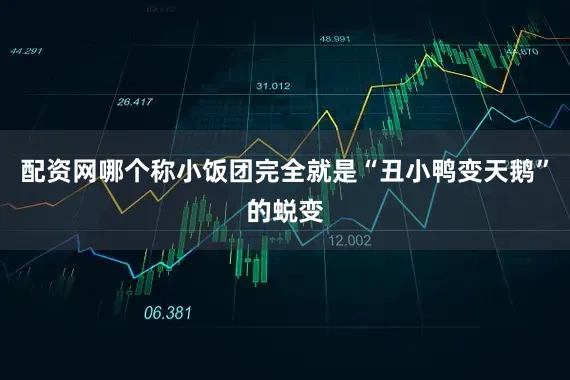 配资网哪个称小饭团完全就是“丑小鸭变天鹅”的蜕变