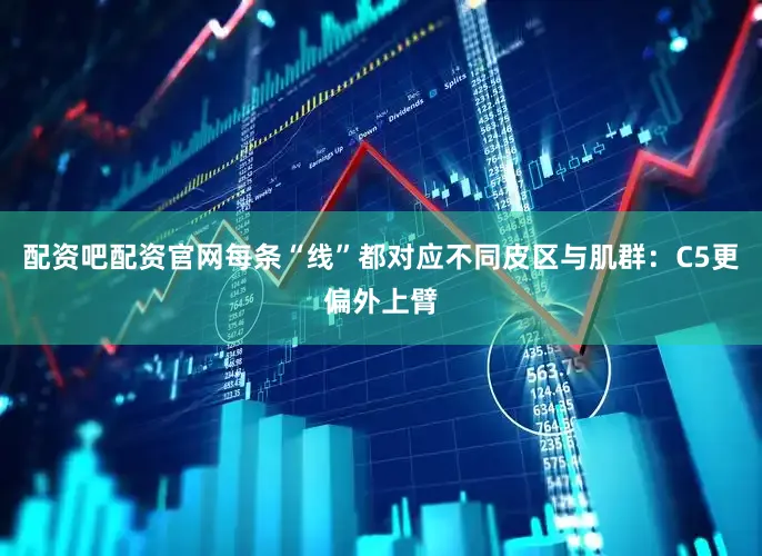 配资吧配资官网每条“线”都对应不同皮区与肌群：C5更偏外上臂